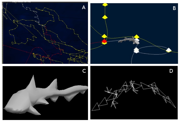 graphic of shark model and path