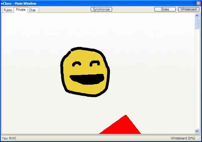 Figure 2.5.2.1: Showing a private Whiteboard in use.