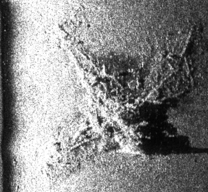 hig resolution sonar scan of Fairy Swordfish